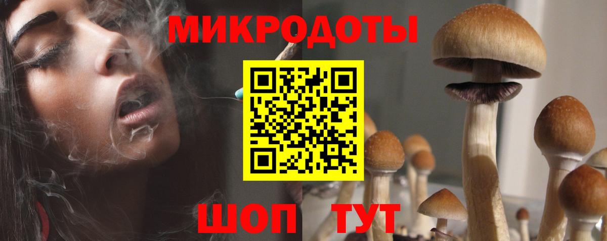 Галлюциногенные грибы MAGIC MUSHROOMS  Вход с VPN  Галлюциногенные грибы MAGIC MUSHROOMS  Унеча 